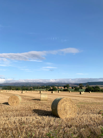 Photograph of fields and hay bales in Scotland